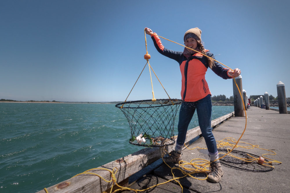 Guide To Dungeness Crab On The Southern Oregon Coast Travel Southern