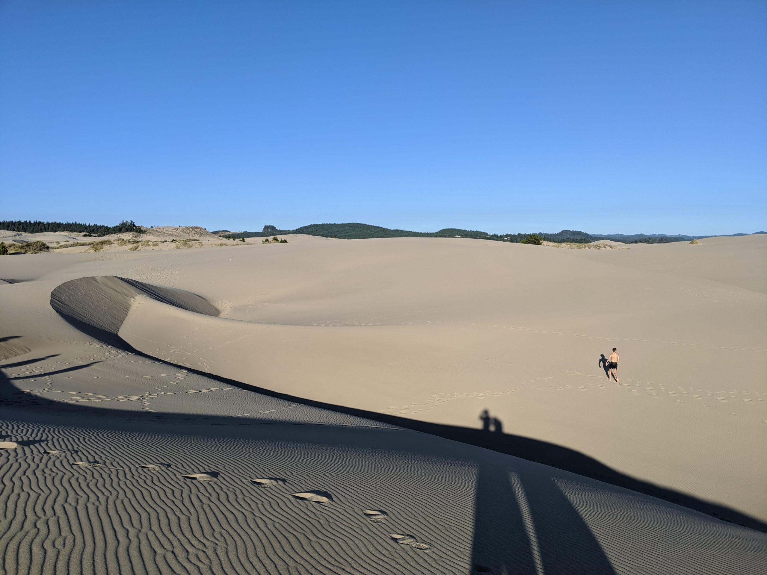Oregon Sand Prairie: Your Gateway to Coastal Bliss