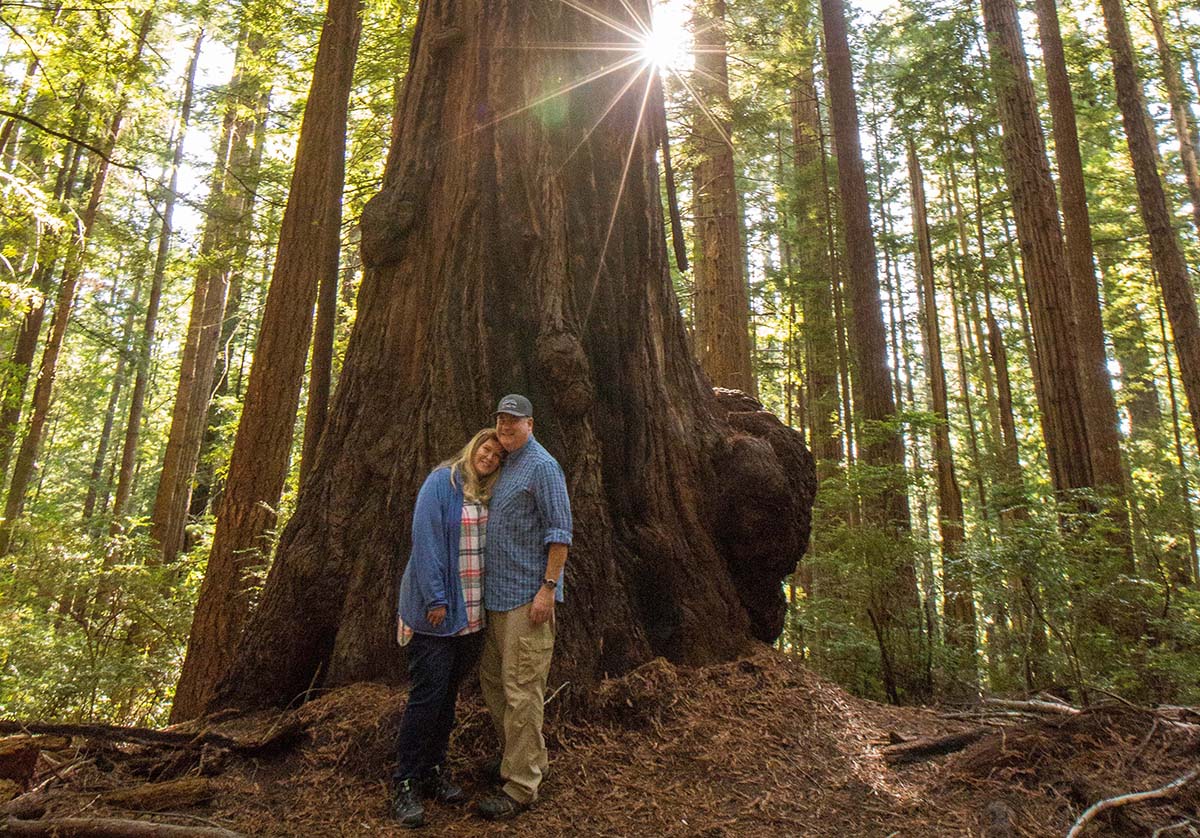Oregon Redwoods outside of Brookings, Oregon