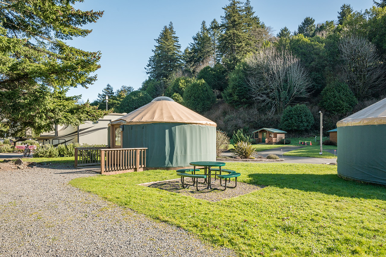 Yurt Rental At Rivers Edge RV Resort Brookings Oregon by Manuela Durson