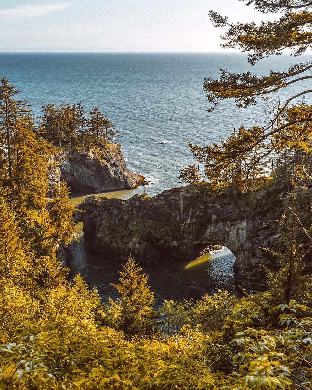 Natural Bridges Samuel Boardman State Park Brookings, Oregon 