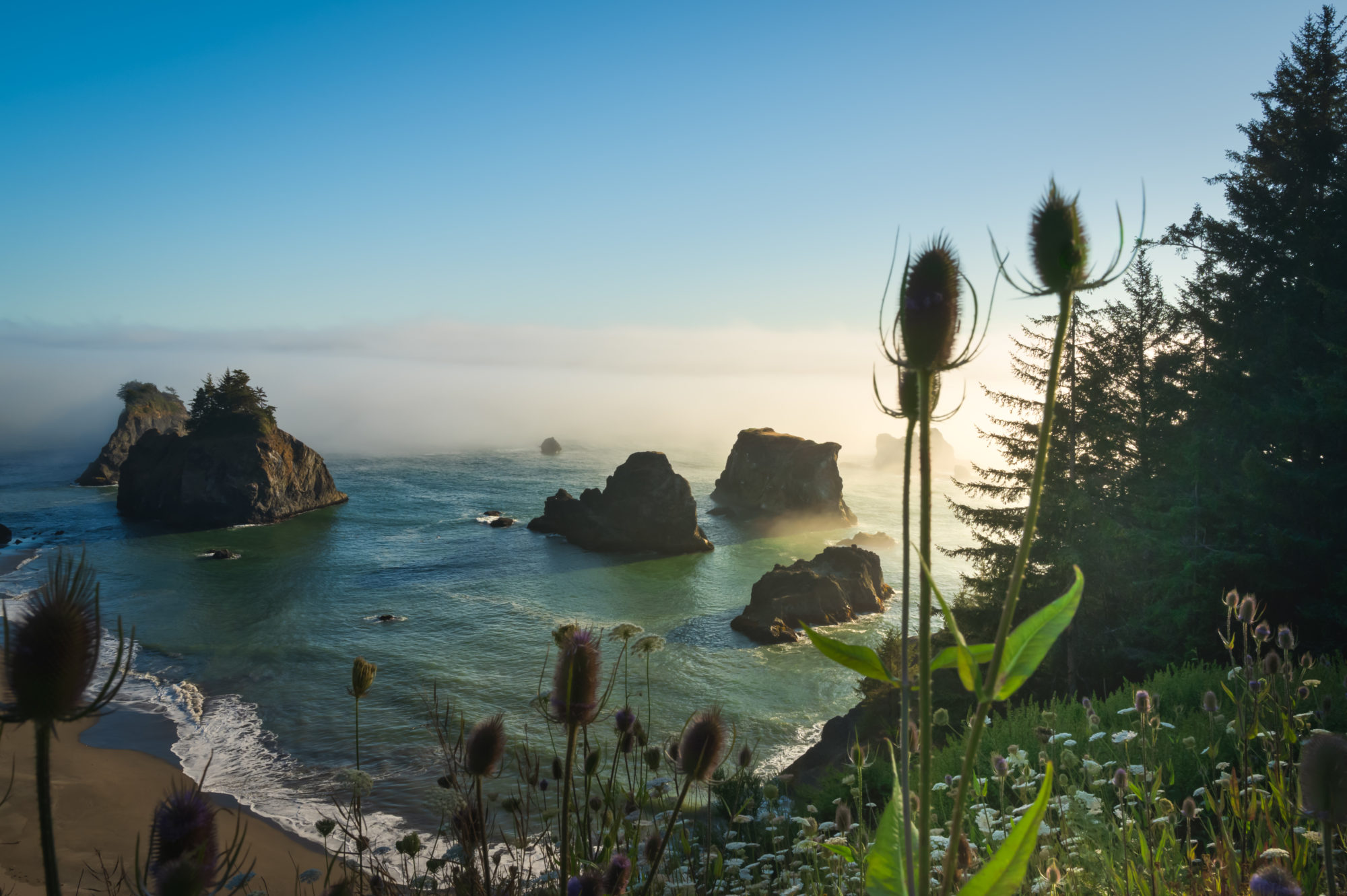 Ocean view from the picnic tables at Samuel Boardman State Park in Brookings, Oregon