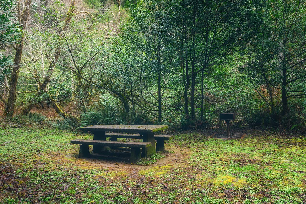 Picnic Area Golden and Silver Falls Allegany Oregon 2 by Manuela Durson