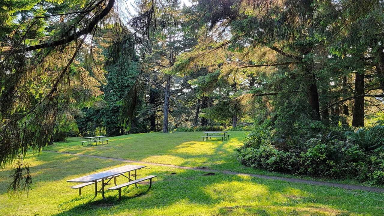Picnic area at Port Orford Heads in Port Orford, Oregon