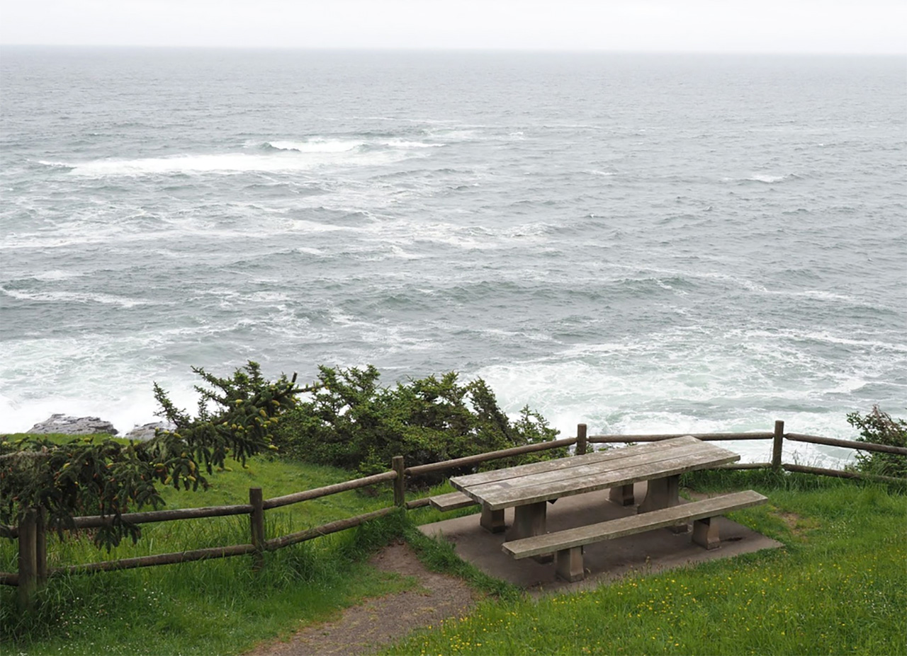 Picnic Bench at Shore Acres Charleston Oregon by Terry Bisgrove