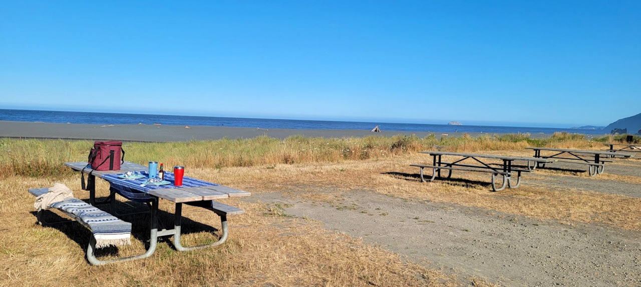 Picnic Tables at Arizona Beach in Port Orford, Oregon 