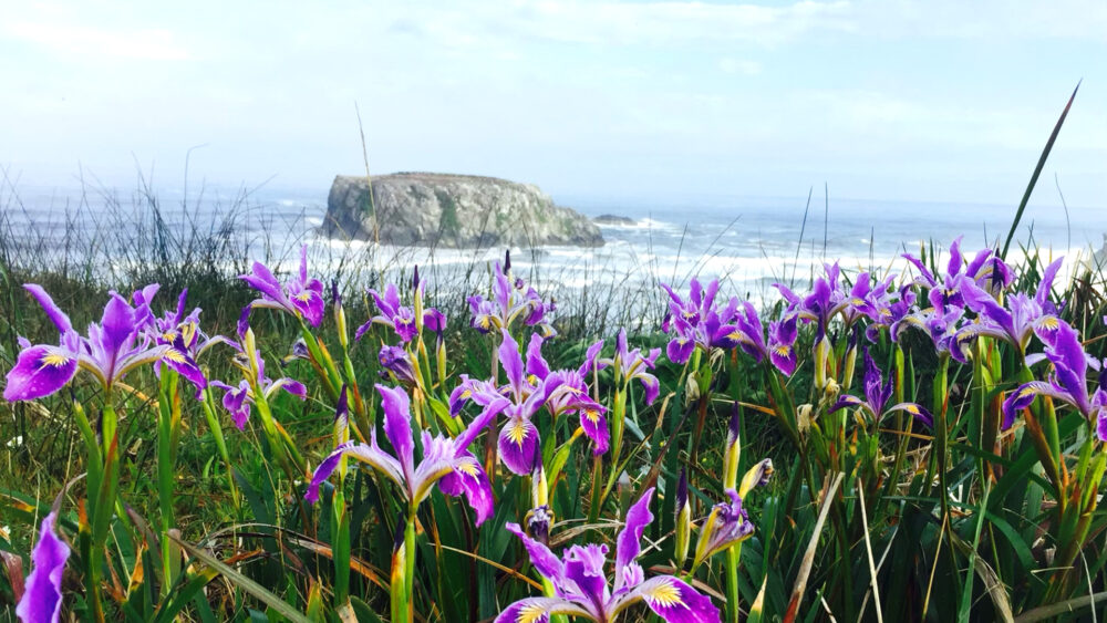 Take Care of Yourself on the South Coast this Spring - Travel Southern ...