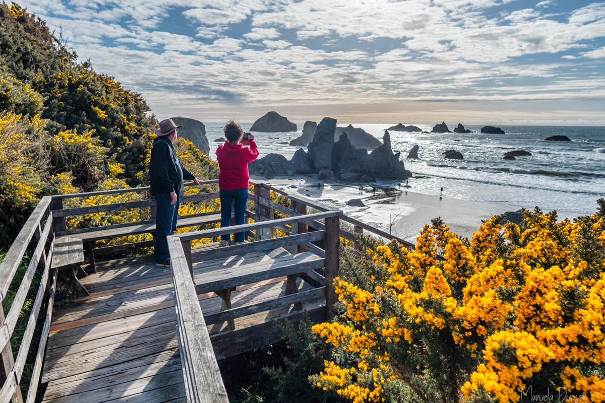 2023TSOC Oct Bandon overlook