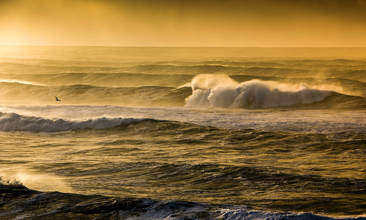 Ocean Swells Southern Oregon Coast