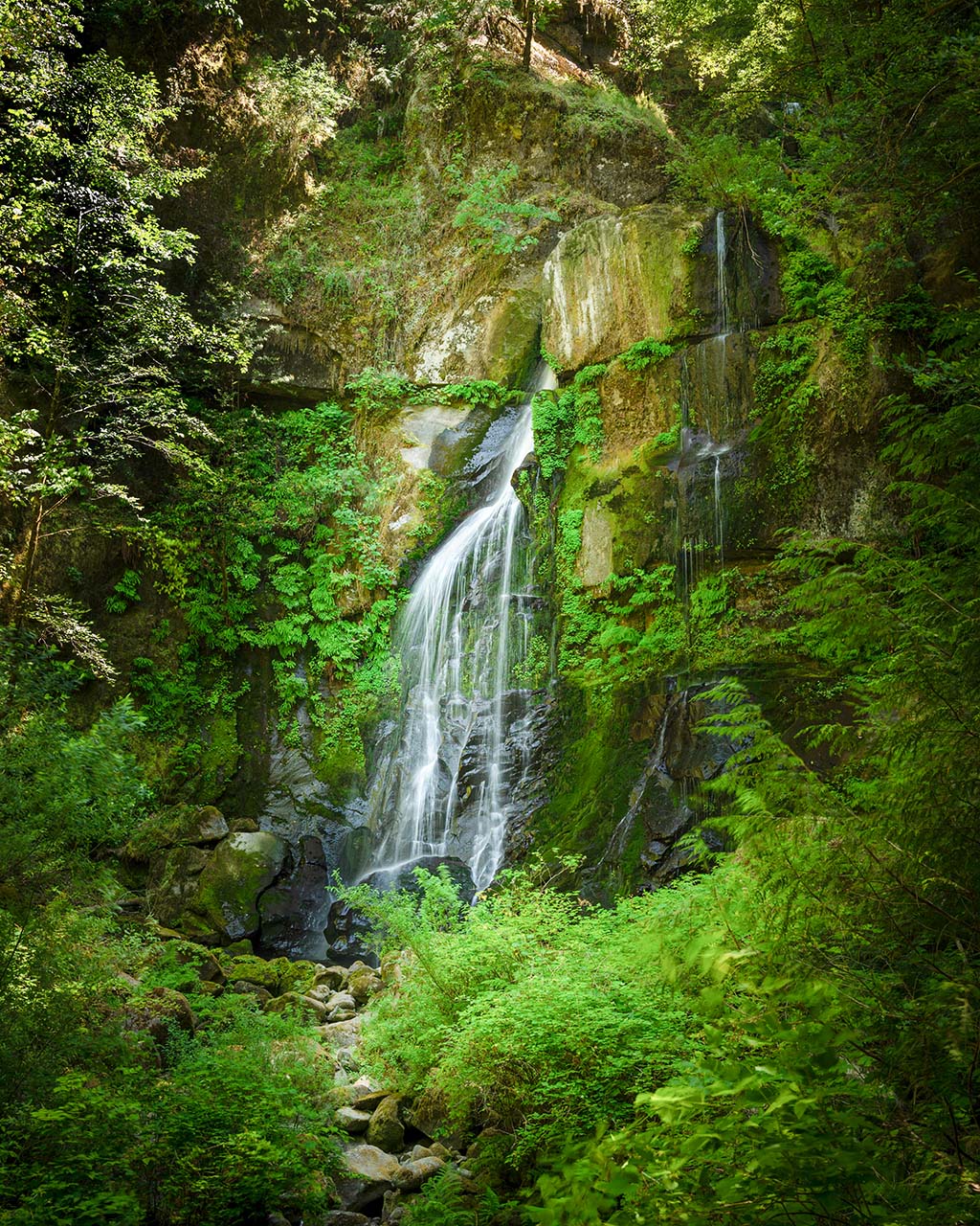 Elk Creek Falls near Powers, Rogue Siskiyou National Forest, Oregon by Manuela Durson