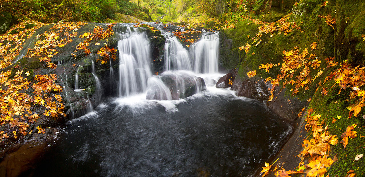 Sweet Creek Falls Autumn by David Putzier