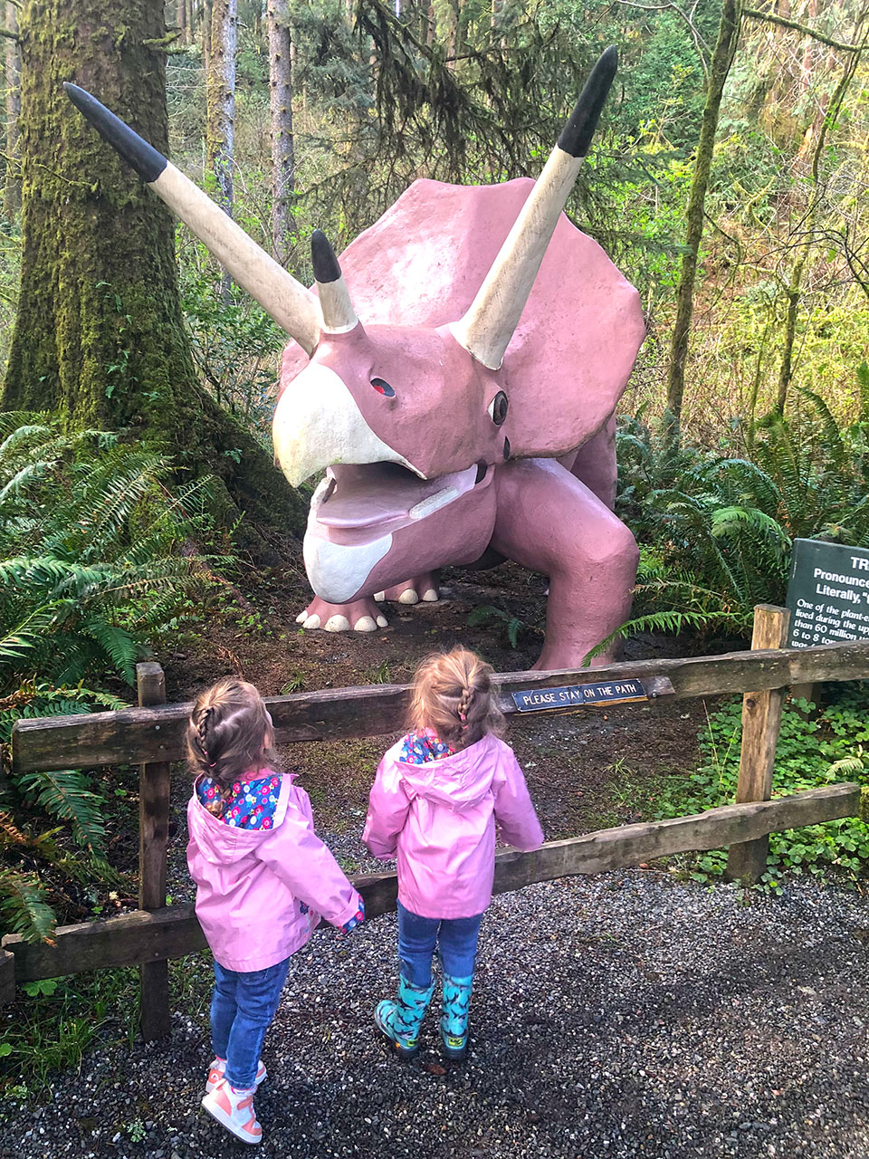 Two twin girls at in pink raincoats at the Prehistoric Gardens theme park in Port Orford, Oregon