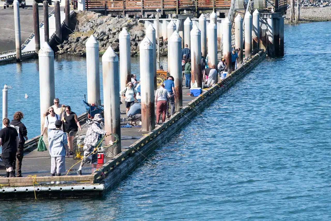 Crabbing on Dock Bandon Oregon by TracyEllenBeard