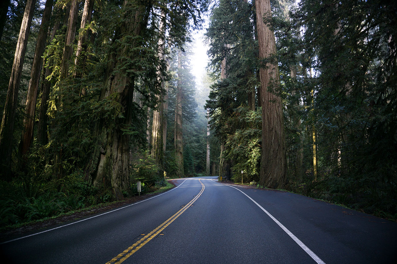 Highway Southern Oregon Coast by RubenMishchuk