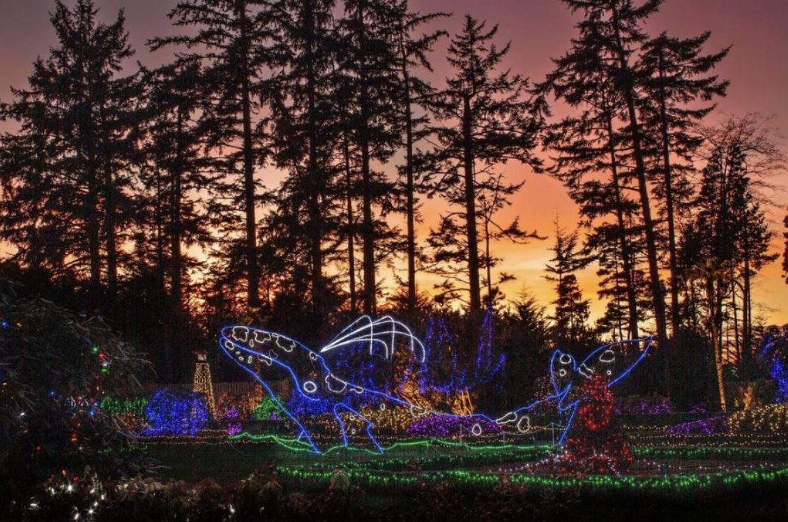 Holiday Lights Shore Acres Charleston Oregon by JulieMiller