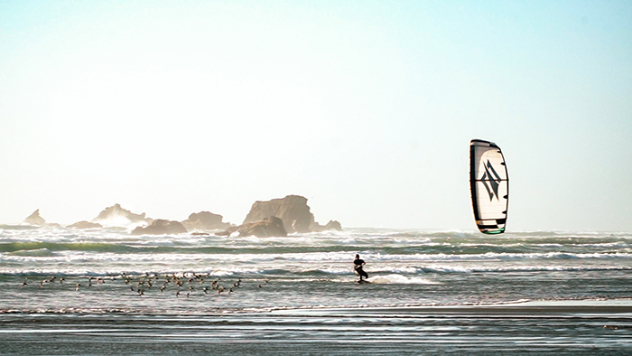 Kiteboarding and Snowy Plovers Whiskey Run Beach Bandon Oregon by Kimmy Gustafson