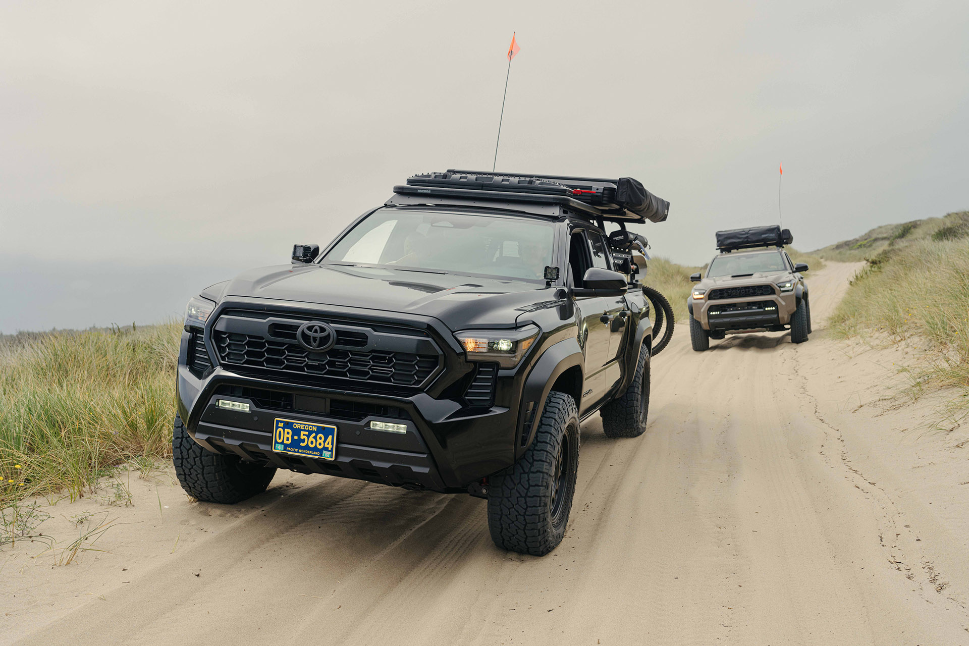 Yakima on Southern Oregon Coast Dunes 2