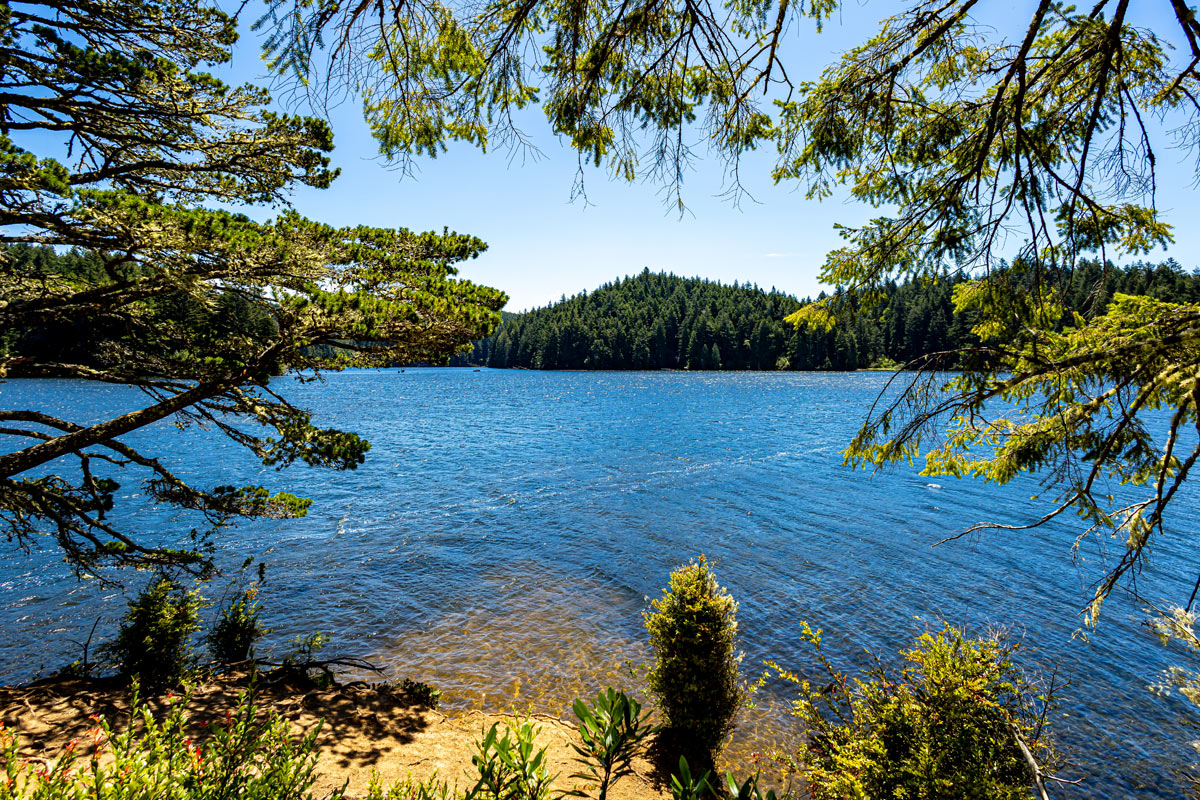 2025TSOC Dec walks Eel