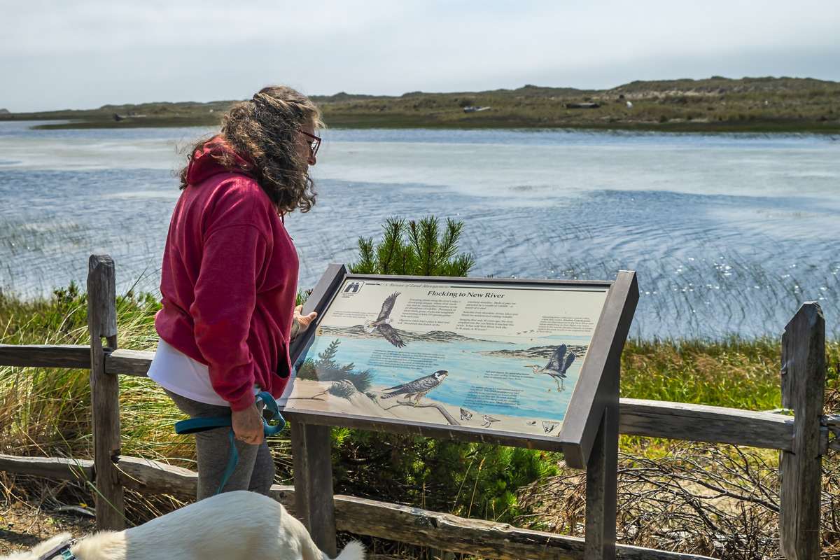 2025TSOC Dec walks NewRiver