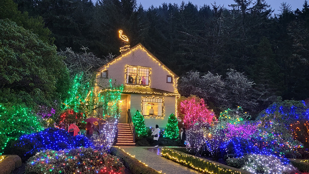 Holiday Lights Shore Acres Charleston Oregon by SharonLippold s