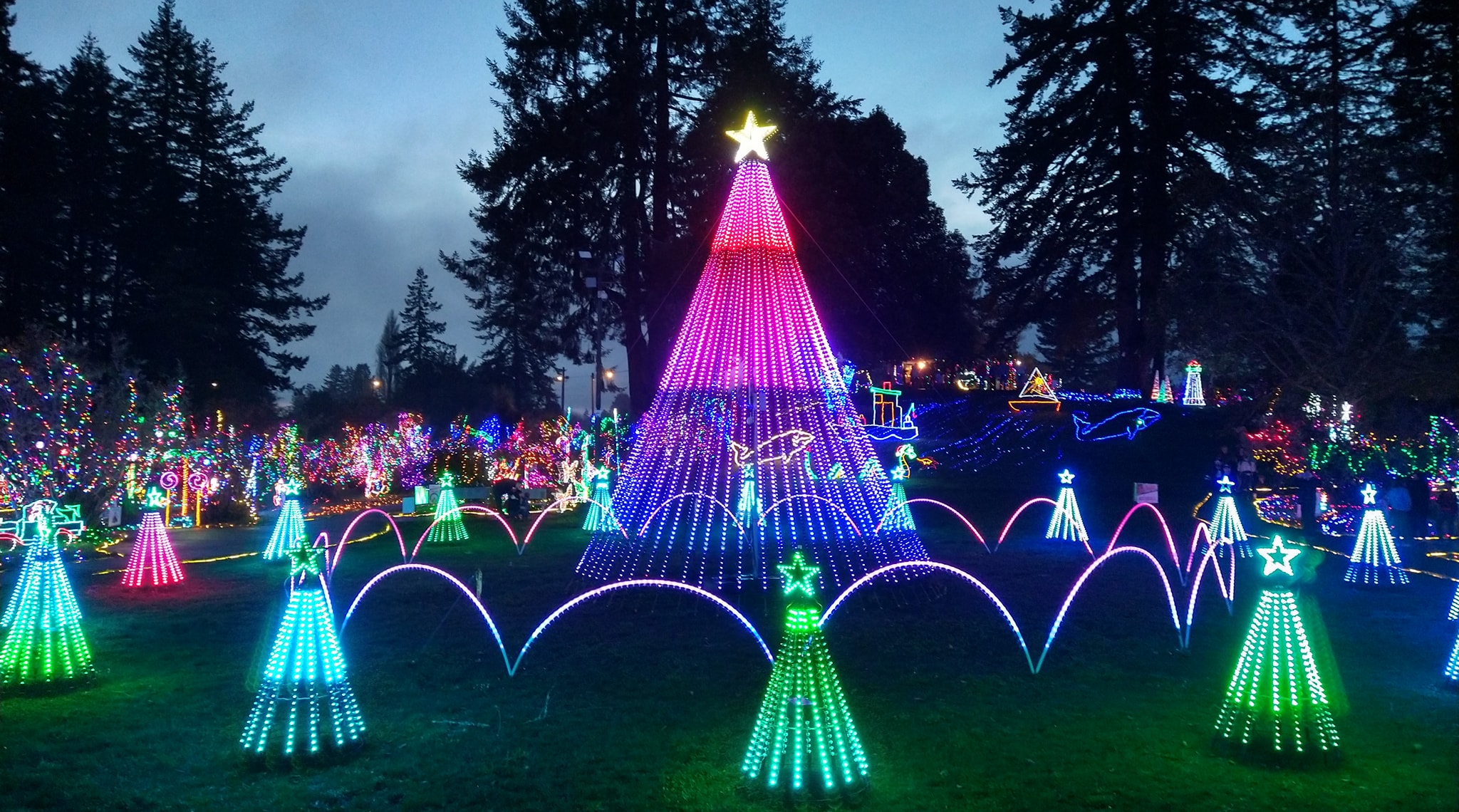 Holiday Lights on the Southern Oregon Coast - Travel Southern