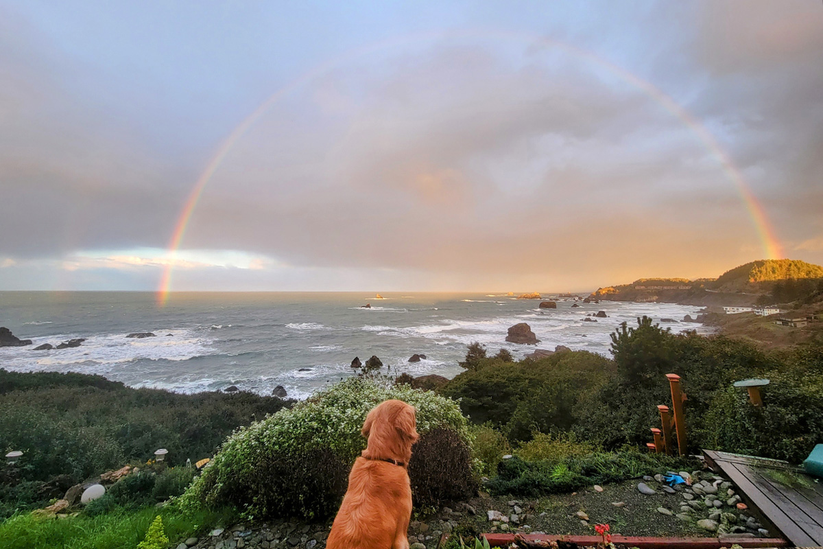 26TSOC April brookings adele