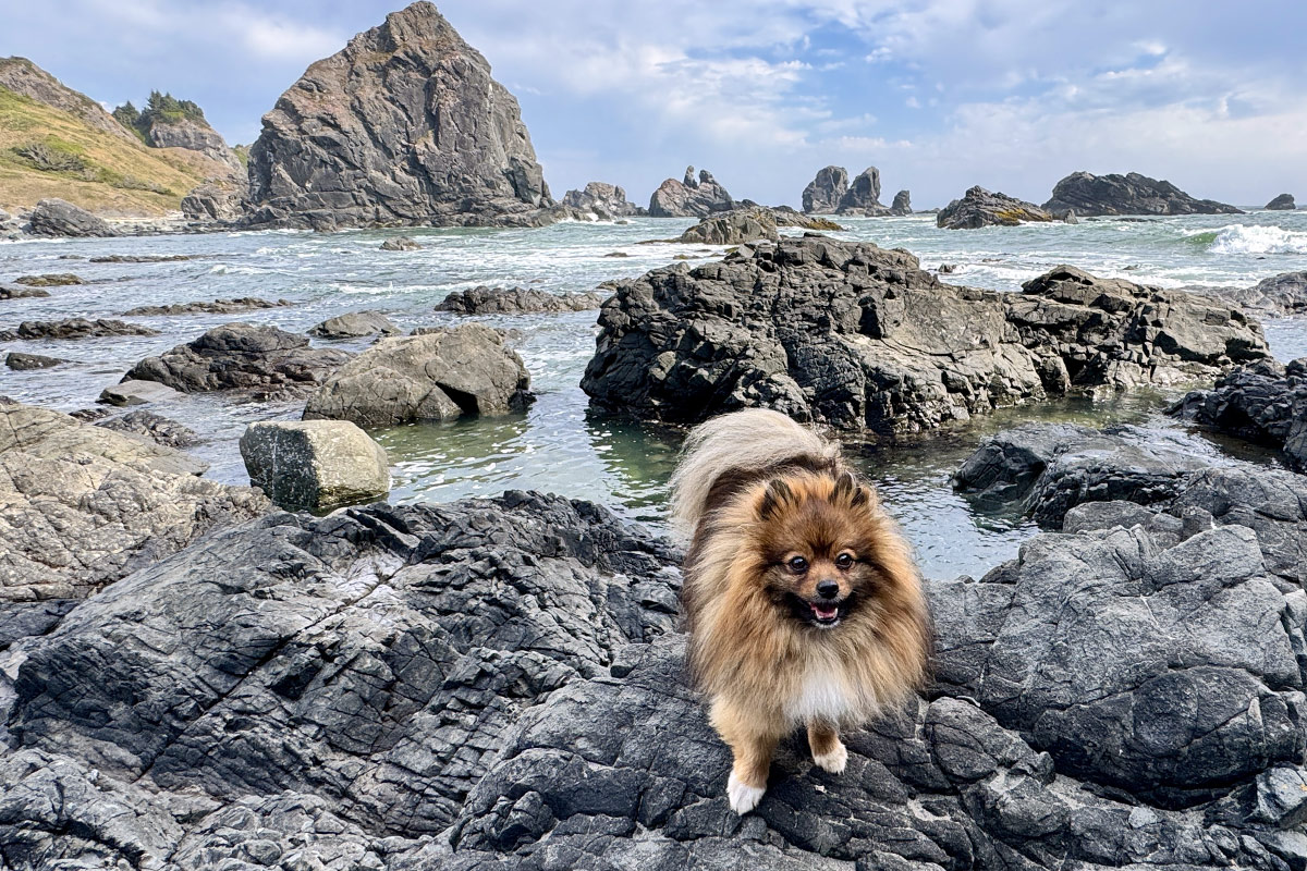 26TSOC April brookings loneranch