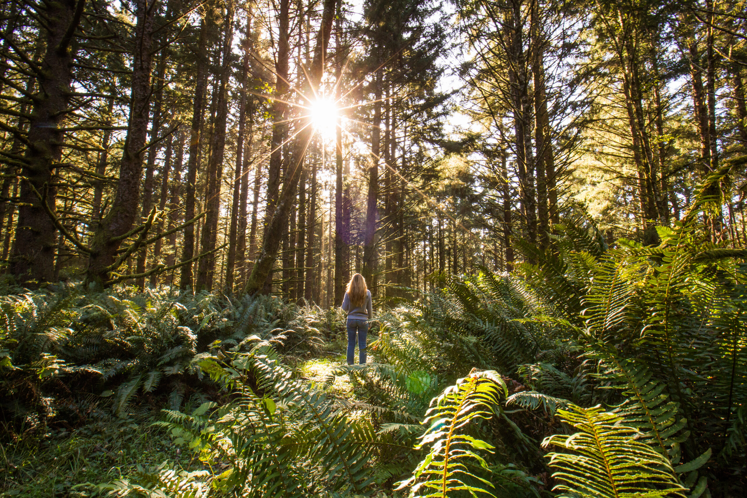 ForestLCCSouthCoastJarettJuarez4