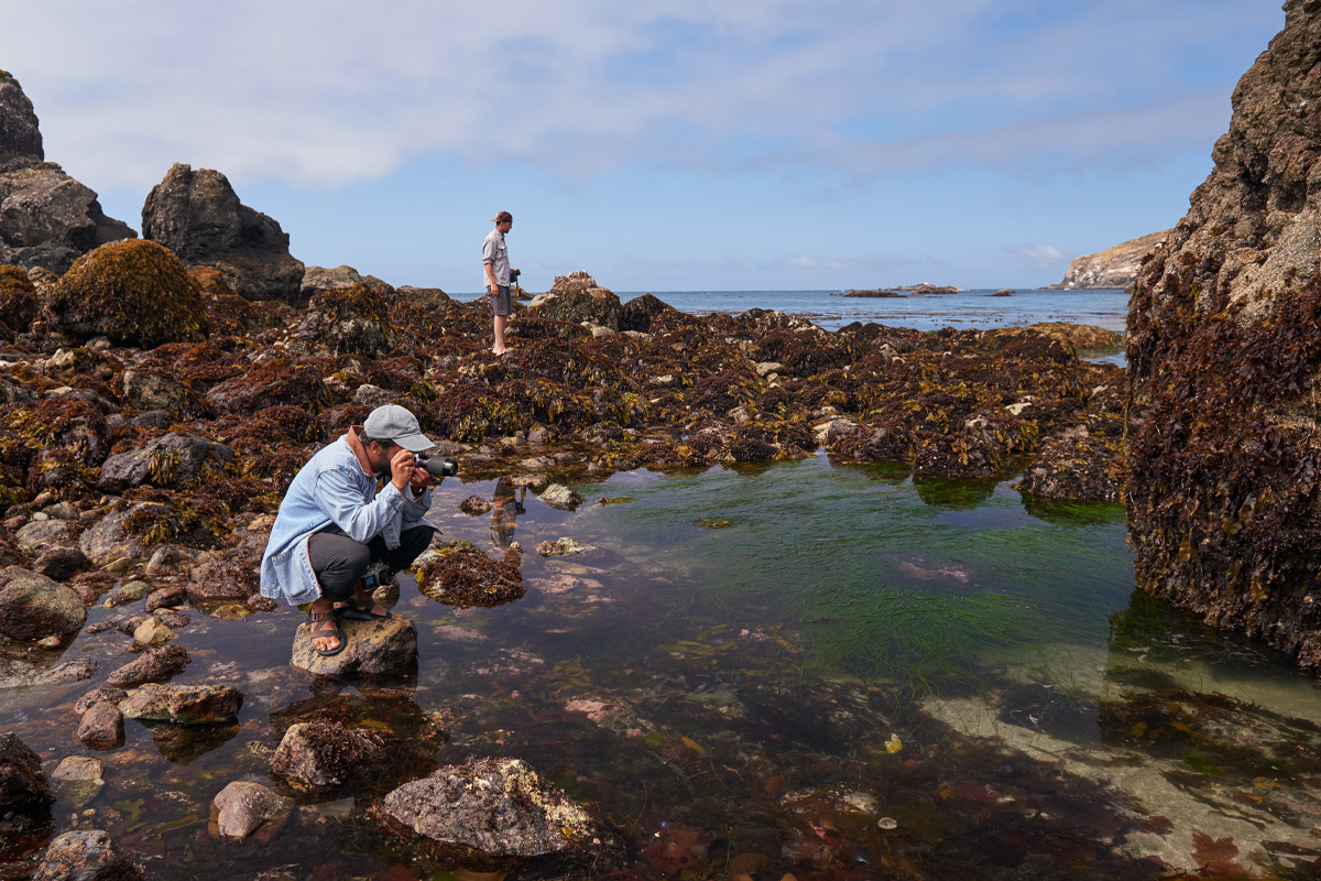 A person photographing a tide pool.
