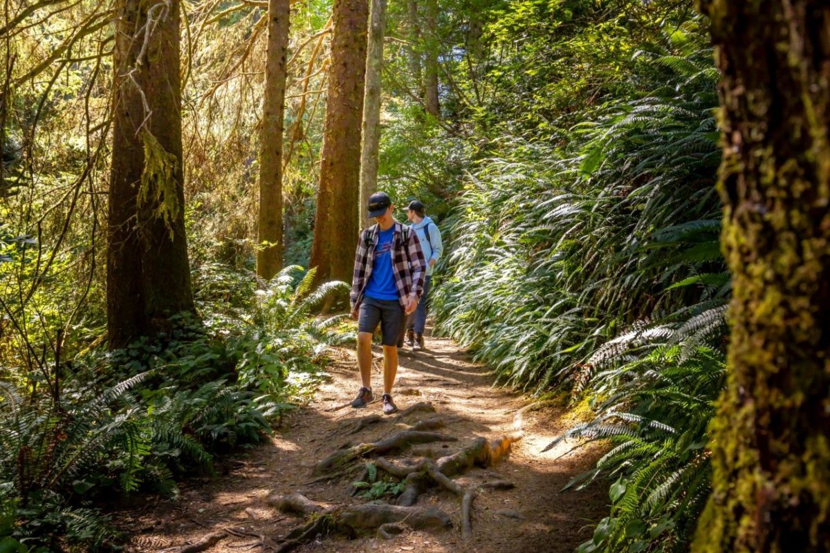 Hiking Sunset Bay Charleston Oregon by DannyKentAlacali 2