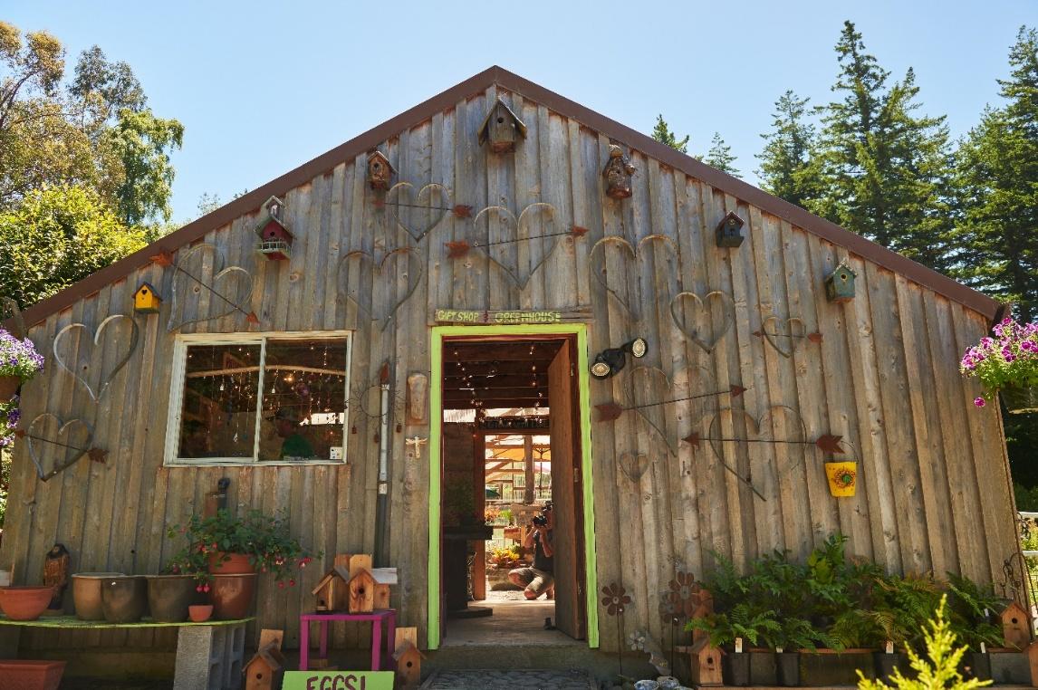 barn plants dragonfly farm nursery erik urdahl